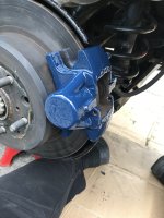 IMG_8260.jpeg