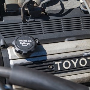 Media 'IMG_0437.jpg' in album 'TEC National and AGM 2025'